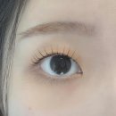 낙성대역(2) | 낙성대역 속눈썹펌 오르다브로우 무쌍 후기 (사진有)