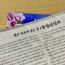 한옥마을 자전거대여소 하천 공중화장실 | 광복절(8.15)에 전주 한옥마을에 가야 하는 이유