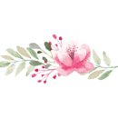 아마란디 이미지