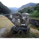 최원규농장 이미지