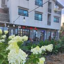 카우보이스테이크하우스 | 제주신화월드맛집 카우보이스테이크하우스 방문 후기