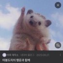 천본앵