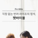 펫바이블 이미지