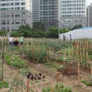 문래로28길 이미지