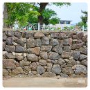 대정농업협동조합무릉지점 이미지