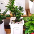 지에스(GS)25 운암벽산점 이미지