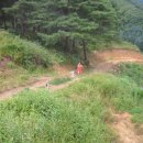 4월 12일 - 해피700동물농장 1주년 되는 날입니다.. 이미지