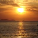 안면도발리 이미지