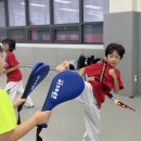 푸른하늘태권도장 이미지