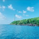 학당노모당 | 베트남국제결혼 성혼후기 베트남결혼 메콩강의 용왕은 남자를 끌고 가고 고국에는 노모와 2살 아들이...