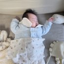 이동-10 | [수면교육] 수면장소이동 1일-10일차 후기 / 퍼버법 / 안눕법 (2)