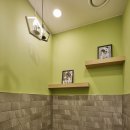 분당24시동물의료센터 이미지