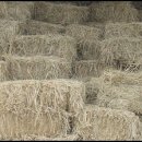 후계자한우직판장 이미지