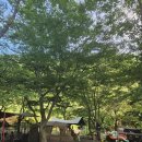 구만 | 부산근교 밀양 초등아이와 구만산장 B-8번 캠핑 후기 | 자연+물놀이+힐링 다 잡은 2박 3일