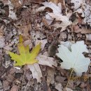 고산골 1 이미지