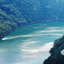 호수와 소나무 이미지