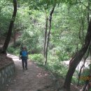 서울성북초등학교 이미지