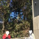 명진타이어