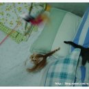 야시 PC 네이버블로그