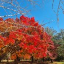 서림바이오 이미지