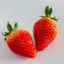 달콤한 ‘봄 딸기’, 중년 여성에게 특히 좋은 이유 4 이미지