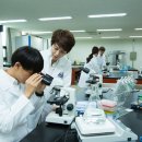 나사렛대 이미지