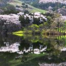 호수농장2 이미지