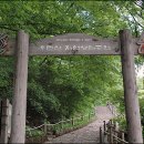 우면산7-2-5 이미지