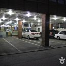 성진물텀벙이 이미지