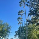 올스타(ALL STAR)PC방 | 여행 - 올랜도 디즈니 월드 숙소 추천 :: 올스타 무비 리조트 (All-Star Movie Resort) 후기 및 예약 방법