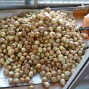 웅포농장 이미지