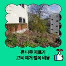 고목나무 | 큰 나무 자르기 고목 제거 벌목 비용
