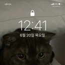 디룩