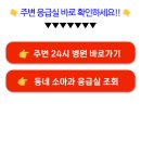 충남 계룡시 근처 응급실 위치 및 야간 휴일 진료가능 병의원 소아과 조회 이미지