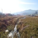 원주굽이길 5코스 버들만이길 이미지