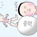 (주) 고릴라멀티짐 이미지