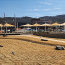 그늘막15 이미지