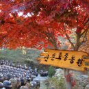 큰샘농원 이미지