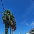 물가펜션 이미지