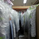 동춘 세탁 이미지