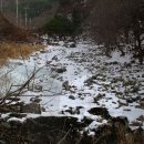 횡성토종닭 이미지