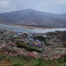 매화산 등산로(정상) | 광양 쫓비산 매화산행 | 청매실농원 지나 정상 블랙야크 호남정맥 인증🌸