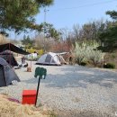 코끼리 관광농원 이미지