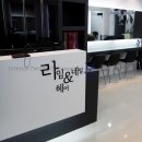 라임헤어 이미지