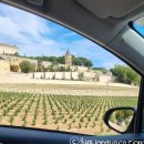 보르도 여행 day 3, 쌍떼밀리옹(Saint-Émilion) 와이너리 투어 🍷