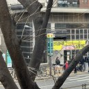 에이스 당구클럽 판교점 | [망원] 헤키, 구미가당 후기