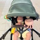 (주)잼마루 이미지