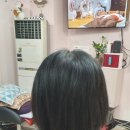 대경붙임머리 이미지