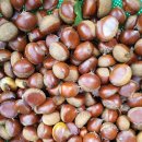 정금농장 이미지