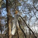 봉전마을 이미지